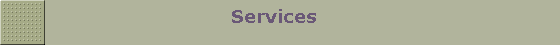                               Services